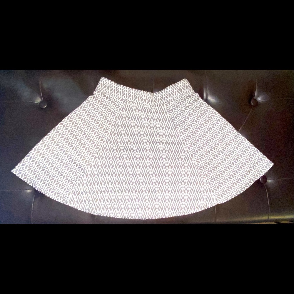 White and Gray Skater Skirt